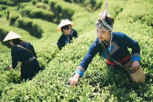 微信图片_20220404095541.png 微信图片_20220404095541.png