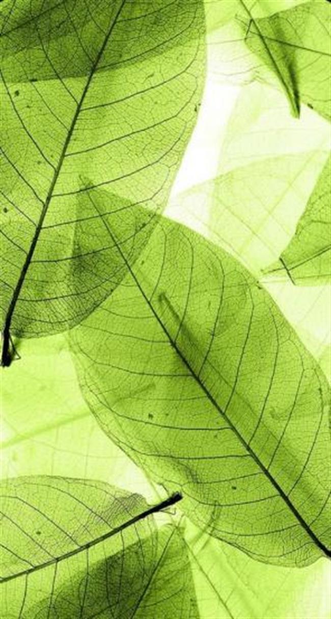 图片15.png 图片15.png